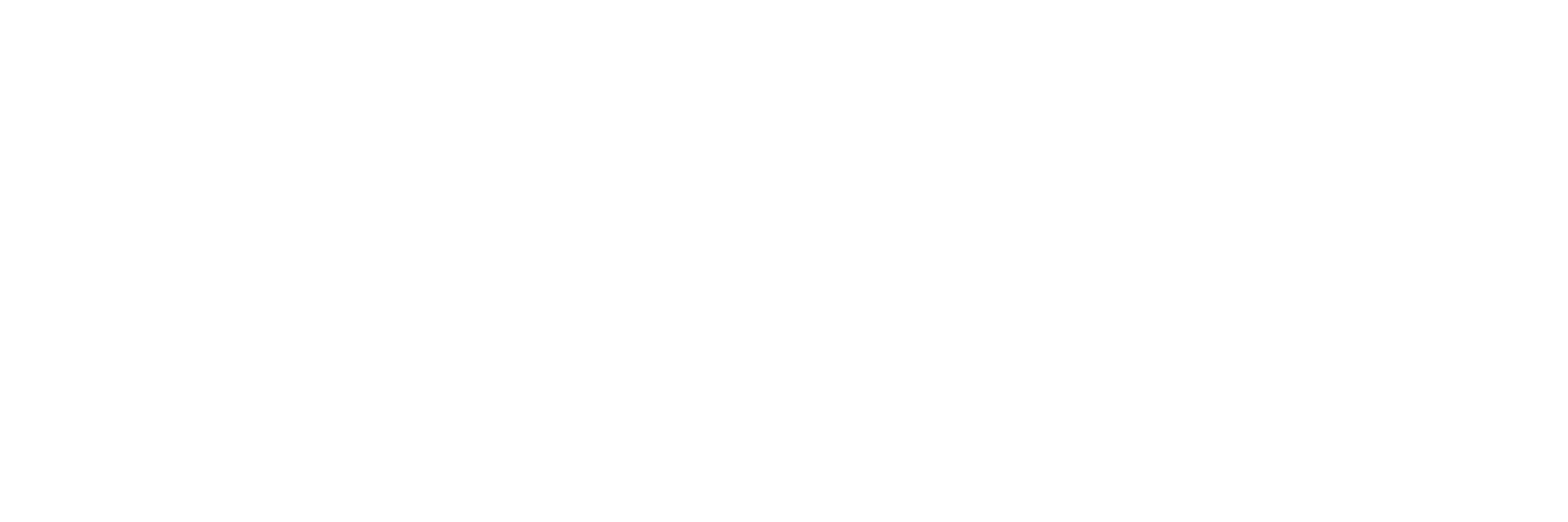 WISELABS